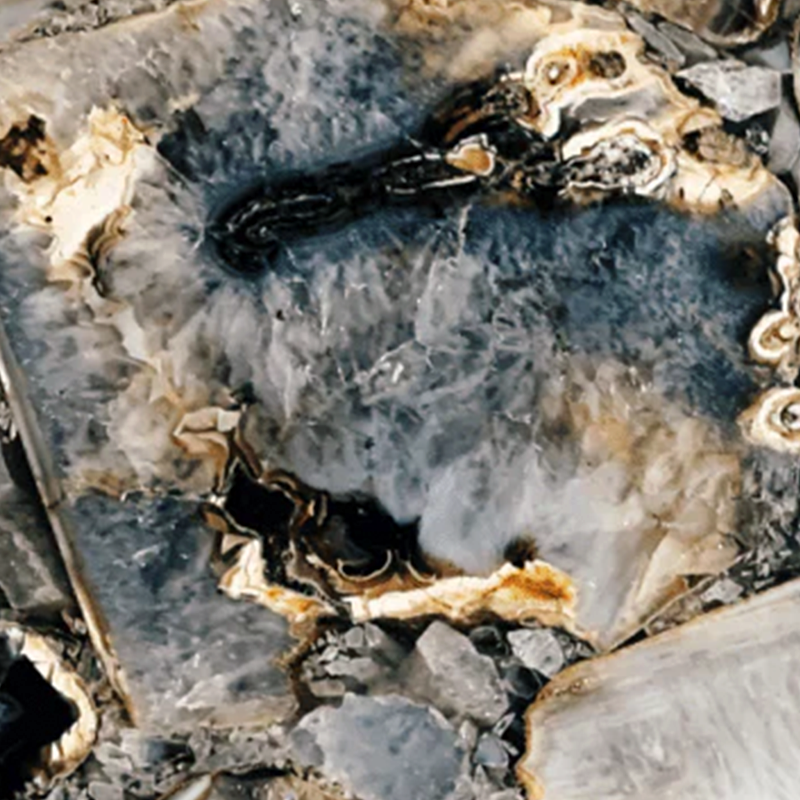 Modern Eclectic Dining Room