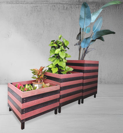 DBS Planter and Coaster