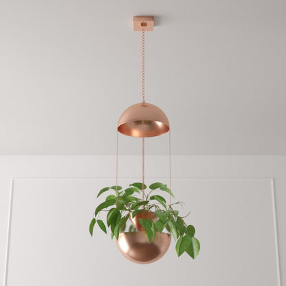Hanging Aqua Orb Self Watering Plant Lamp - ipse ipsa ipsum