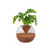 Aqua Orb Plant Vase - ipse ipsa ipsum